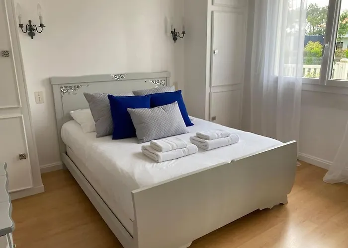 Maison Arcachonnaise Proche - Animaux Acceptes Feriehus